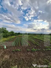 Casă de vânzare, 50 mp, zona Centrală - Călinești 