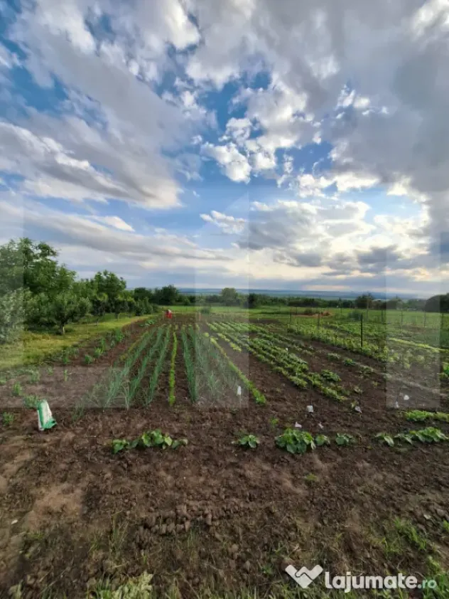 Casă de vânzare, 50 mp, zona Centrală - Călinești - Calinesti (Candesti) (Botosani)