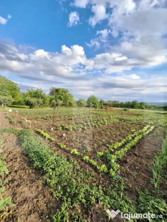 Casă de vânzare, 50 mp, zona Centrală - Călinești - Calinesti (Candesti) (Botosani)