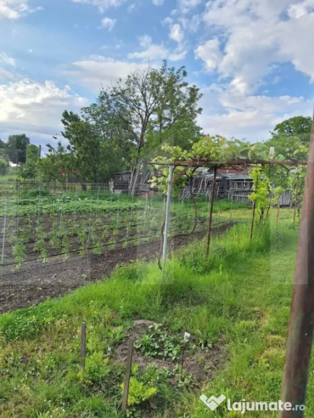 Casă de vânzare, 50 mp, zona Centrală - Călinești - Calinesti (Candesti) (Botosani)