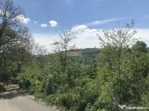Vanzare Teren INTRAVILAN Padure 2,511mp BREBU MANASTIREI PRAHOVA