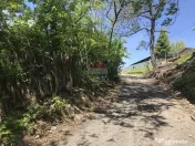 Vanzare Teren INTRAVILAN Padure 2,511mp BREBU MANASTIREI PRAHOVA 