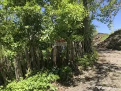 Vanzare Teren INTRAVILAN Padure 2,511mp BREBU MANASTIREI PRAHOVA 
