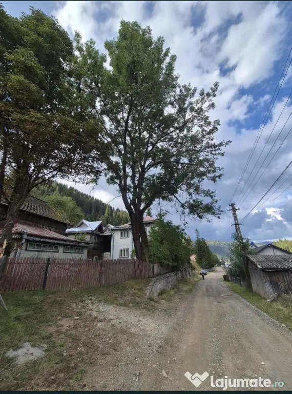 Casă și complex de clădiri în zonă pitorească
