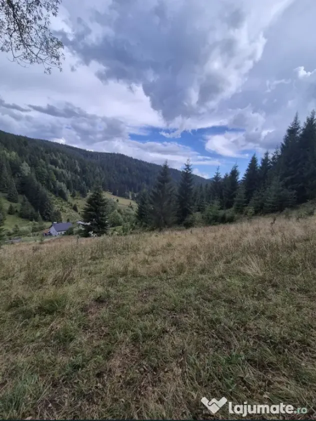 Casă și complex de clădiri în zonă pitorească