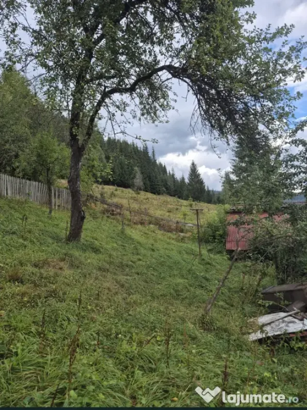 Casă și complex de clădiri în zonă pitorească