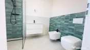 Casa individuala moderna cu 4 camere, 2 dressinguri, in Giar