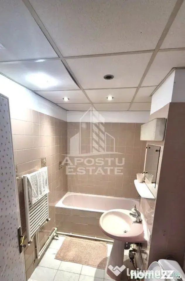 Apartament cu 2 camere de inchiriat in zona Odobescu/Elisabetin - Timisoara (Timis)
