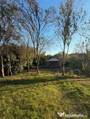 Casa de vanzare, 178 mp, zona Bucov