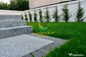 Vila lux 6 camere Pipera 