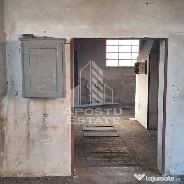 Casa individuala cu teren mare 843 mp,in zona Modern. - Timisoara (Timis)