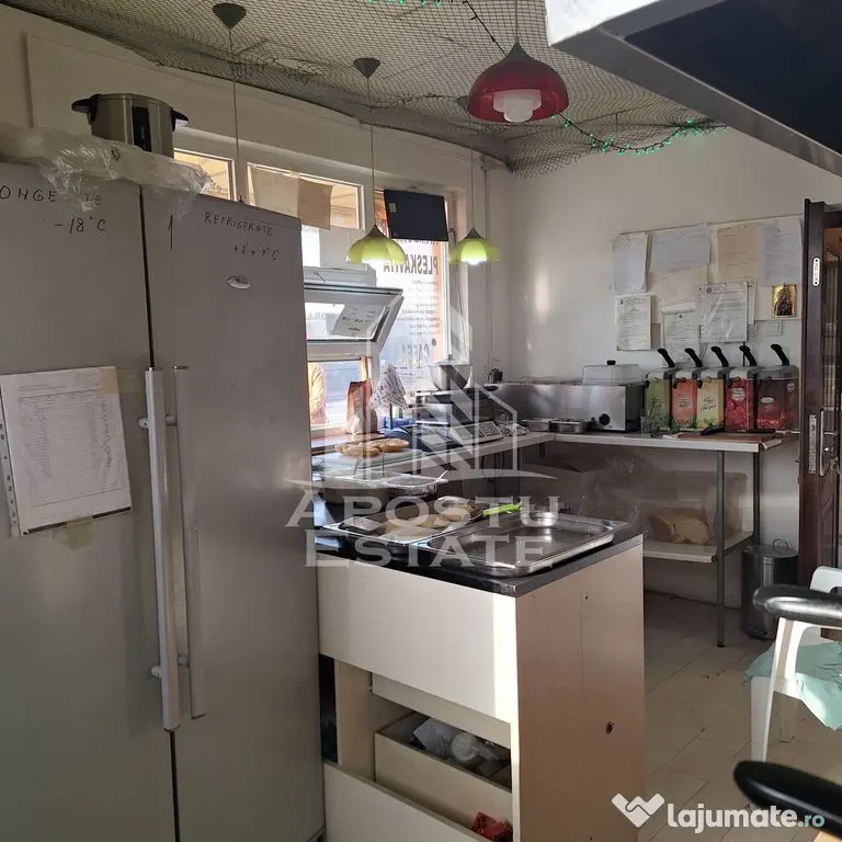 Casa individuala cu teren mare 843 mp,in zona Modern. - Timisoara (Timis)