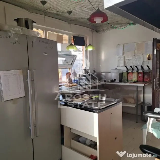 Casa individuala cu teren mare 843 mp,in zona Modern. - Timisoara (Timis)