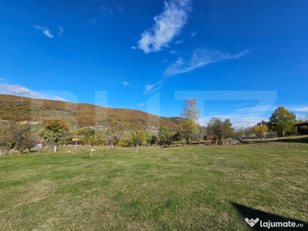 Teren intravilan, 8.046 mp, zona Sud-Est - Poiana Ampoiului - Poiana Ampoiului (Alba)
