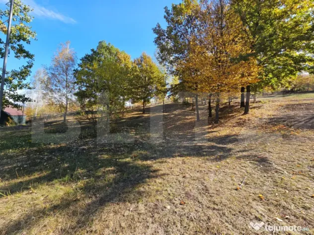 Teren intravilan, 8.046 mp, zona Sud-Est - Poiana Ampoiului - Poiana Ampoiului (Alba)