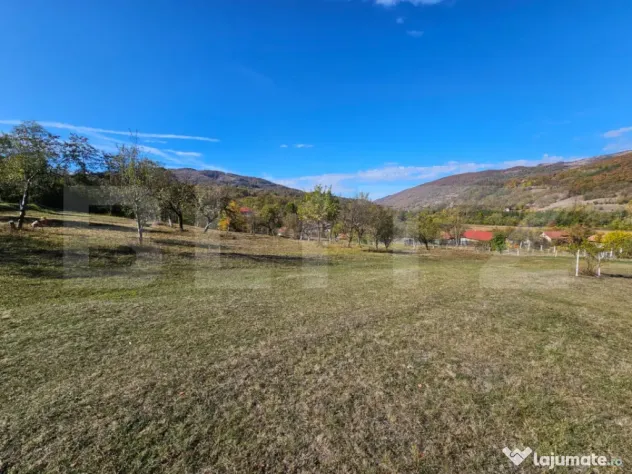 Teren intravilan, 8.046 mp, zona Sud-Est - Poiana Ampoiului - Poiana Ampoiului (Alba)