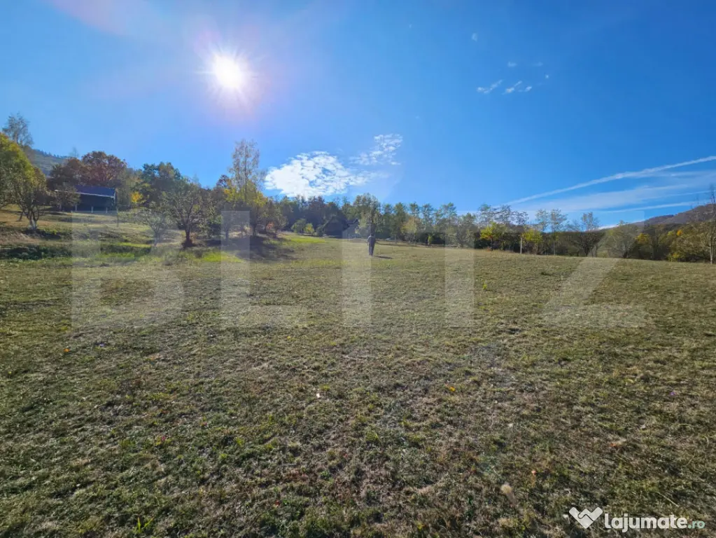 Teren intravilan, 8.046 mp, zona Sud-Est - Poiana Ampoiului - Poiana Ampoiului (Alba)
