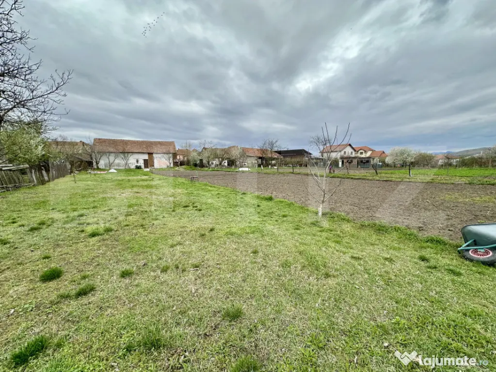 Casa individuala 3 camere,cu ANEXE,teren 2769 mp,TOTOI - Totoi (Alba)