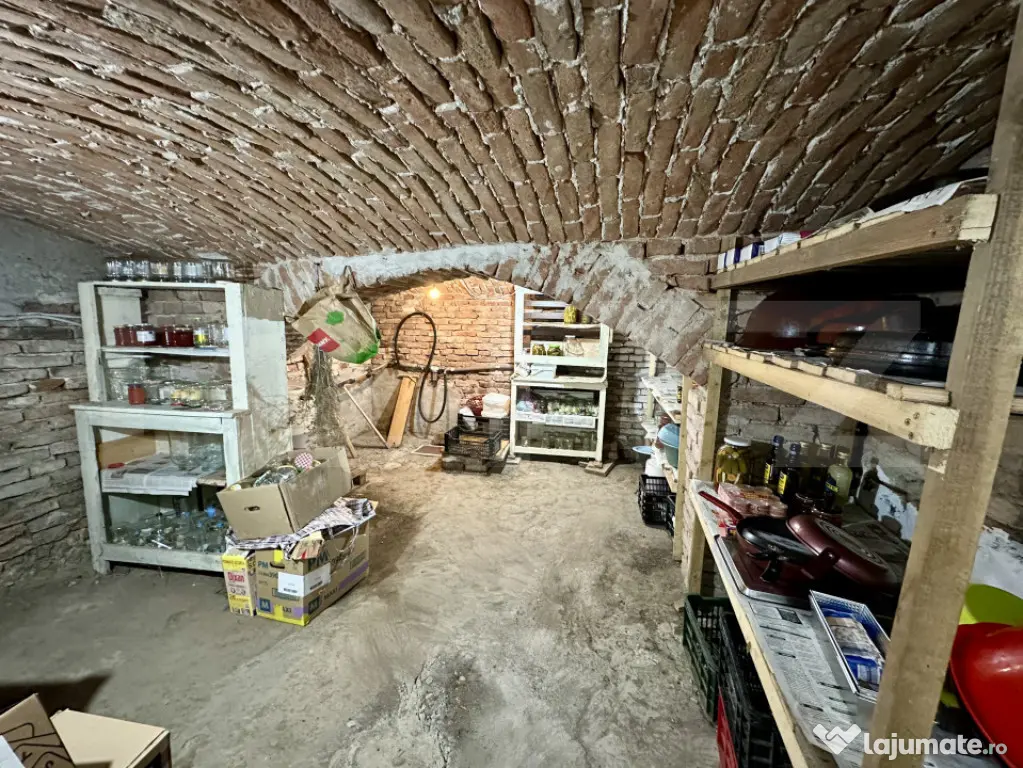 Casa individuala 3 camere,cu ANEXE,teren 2769 mp,TOTOI - Totoi (Alba)