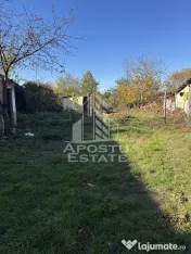 Casa veche in Recas cu teren generos de 1438 mp 