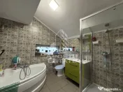 Casa cu sediu firma, atelier si apartament separat Mosnita Noua 