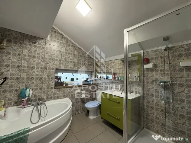Casa cu sediu firma, atelier si apartament separat Mosnita Noua - Mosnita Noua (Timis)