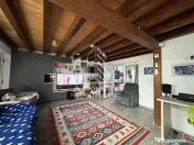 Casa cu sediu firma, atelier si apartament separat Mosnita Noua 