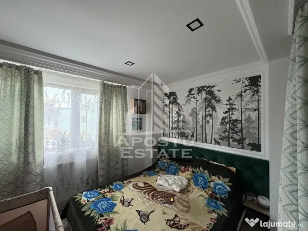 Casa cu sediu firma, atelier si apartament separat Mosnita Noua - Mosnita Noua (Timis)