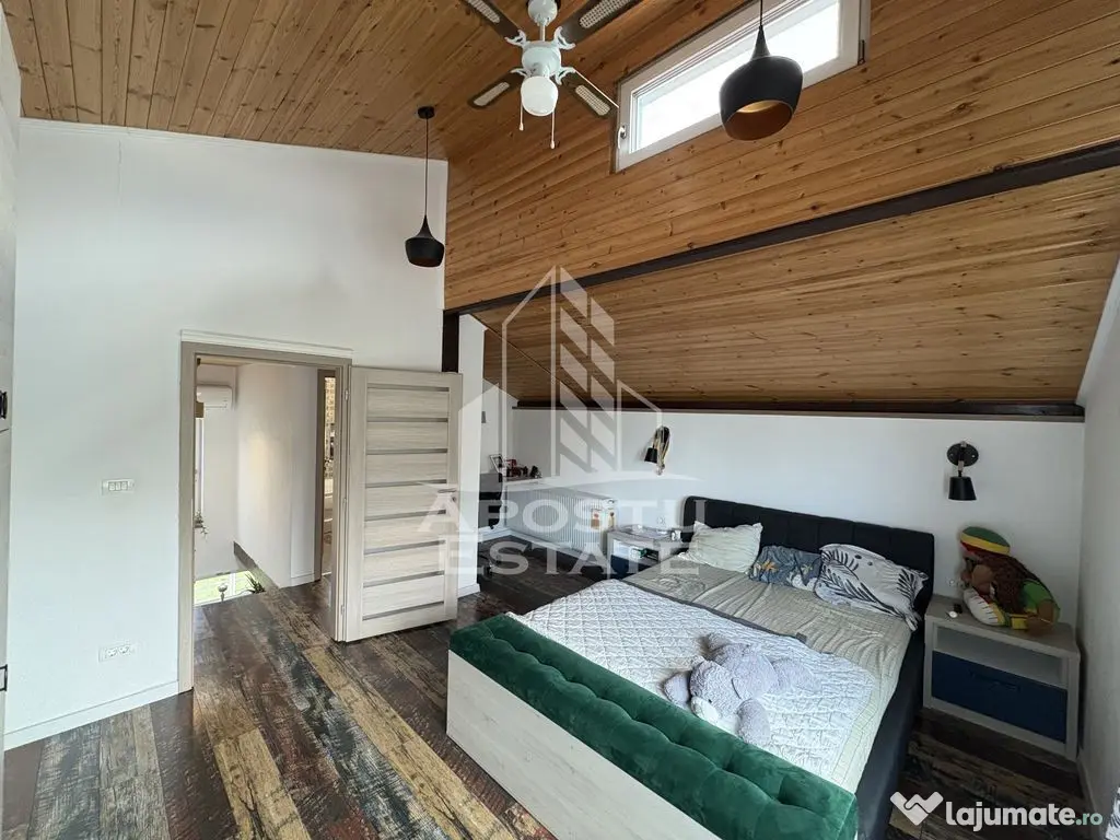 Casa cu sediu firma, atelier si apartament separat Mosnita Noua - Mosnita Noua (Timis)