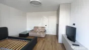 Apartament o camera de inchiriat, petfriendly, zona Circumvalatiunii