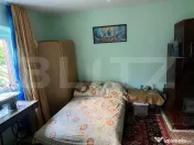Casă din cărămidă cu beci și teren generos de 2.320 mp