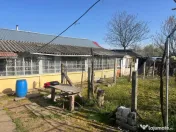 Casă din cărămidă cu beci și teren generos de 2.320 mp
