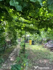 Casă din cărămidă cu beci și teren generos de 2.320 mp