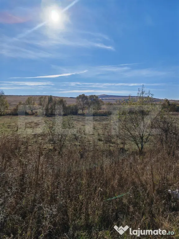 Teren extravilan 9000 mp, in Craesti - Craesti (Cluj)