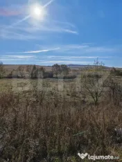 Teren extravilan 9000 mp, in Craesti