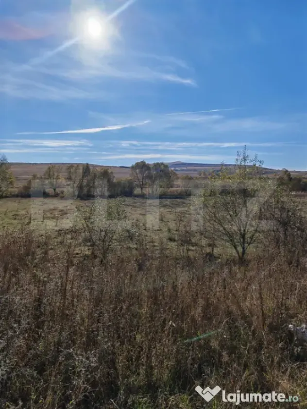 Teren extravilan 9000 mp, in Craesti - Craesti (Cluj)
