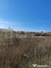 Teren extravilan 9000 mp, in Craesti