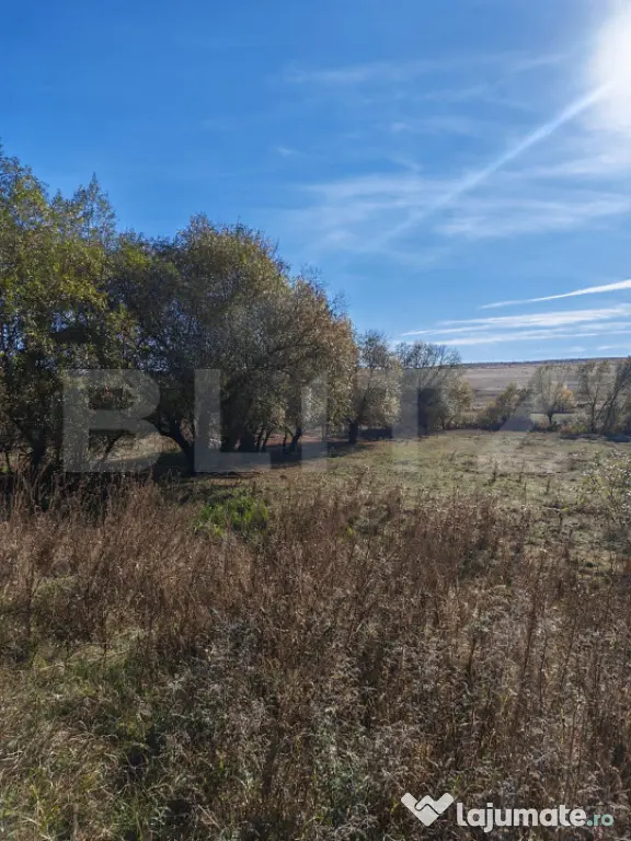 Teren extravilan 9000 mp, in Craesti - Craesti (Cluj)