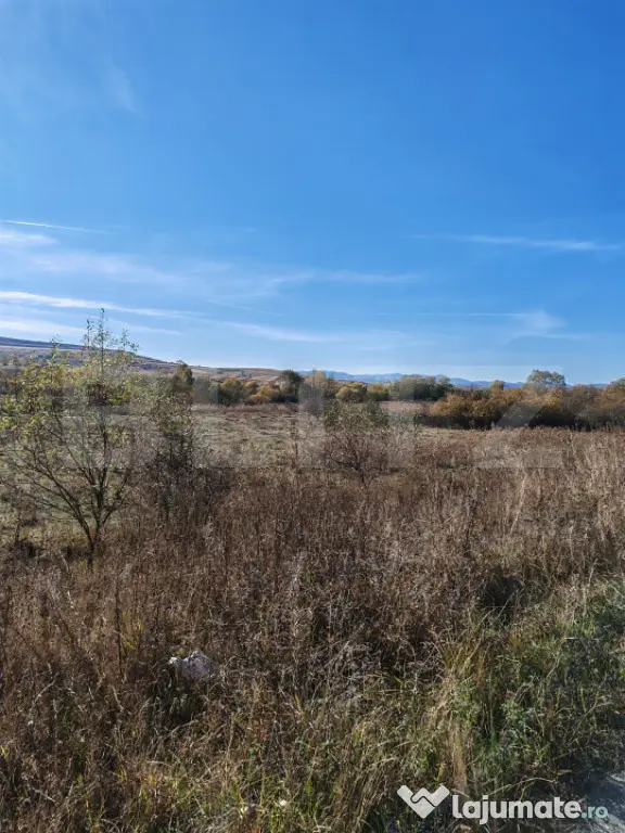 Teren extravilan 9000 mp, in Craesti - Craesti (Cluj)