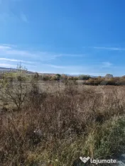 Teren extravilan 9000 mp, in Craesti