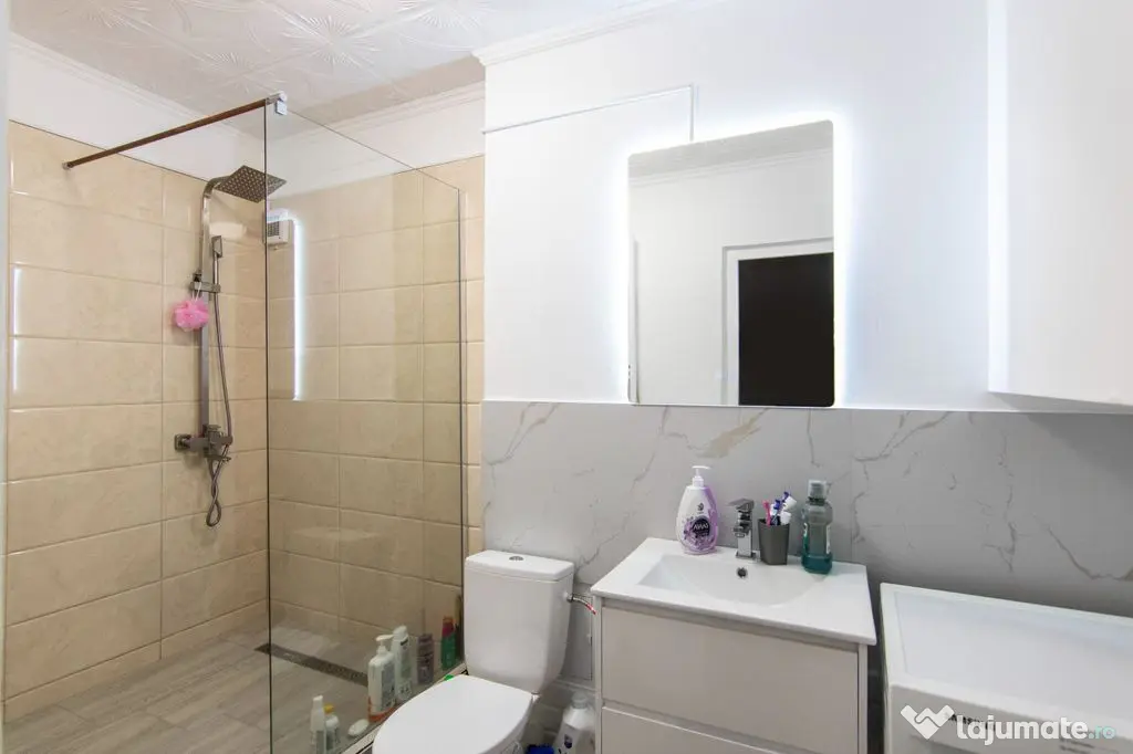 Apartament 2 camere - Demisol, 66 mp, Mobilat si Utilat, Bloc Nou, Zona Mosilor - Bucuresti (Bucuresti-Ilfov)