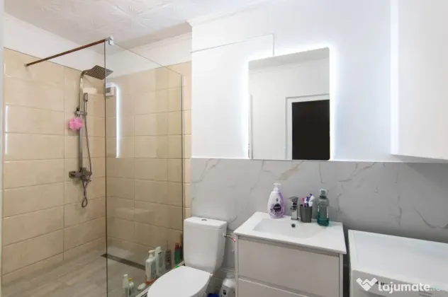 Apartament 2 camere - Demisol, 66 mp, Mobilat si Utilat, Bloc Nou, Zona Mosilor - Bucuresti (Bucuresti-Ilfov)