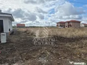 Teren intravilan de vanzare Sacalaz Bariera
