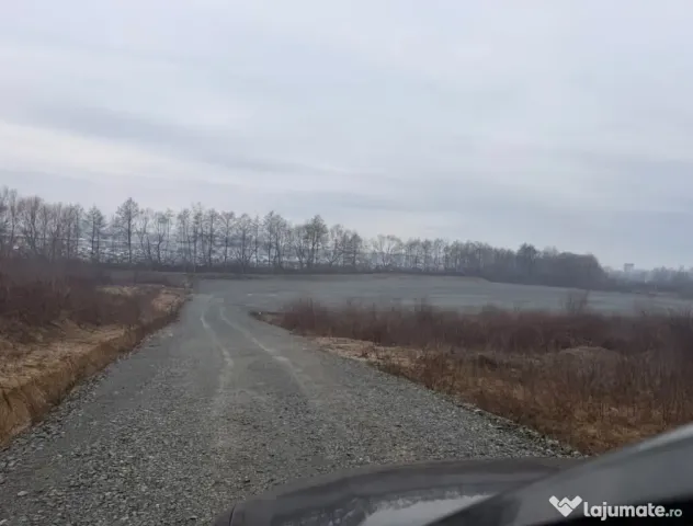 Teren intravilan Tautii Magheraus 10000mp