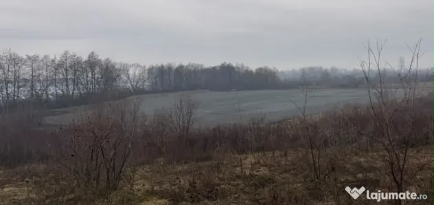 Teren intravilan Tautii Magheraus 10000mp
