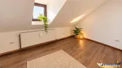 Vila pozitionare apreciabila: rezidential sediu comercial, 
