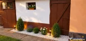 Vila pozitionare apreciabila: rezidential sediu comercial, 