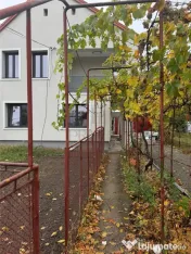 CASA DE INCHIRIAT - CIARDA ROSIE ( str Matei Millo) - 230mp 