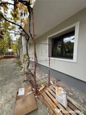 CASA DE INCHIRIAT - CIARDA ROSIE ( str Matei Millo) - 230mp 