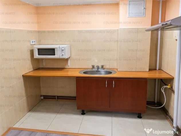 Garsoniera 23 mp | Centrala Proprie | Zona Tractorul - Brasov (Brasov)